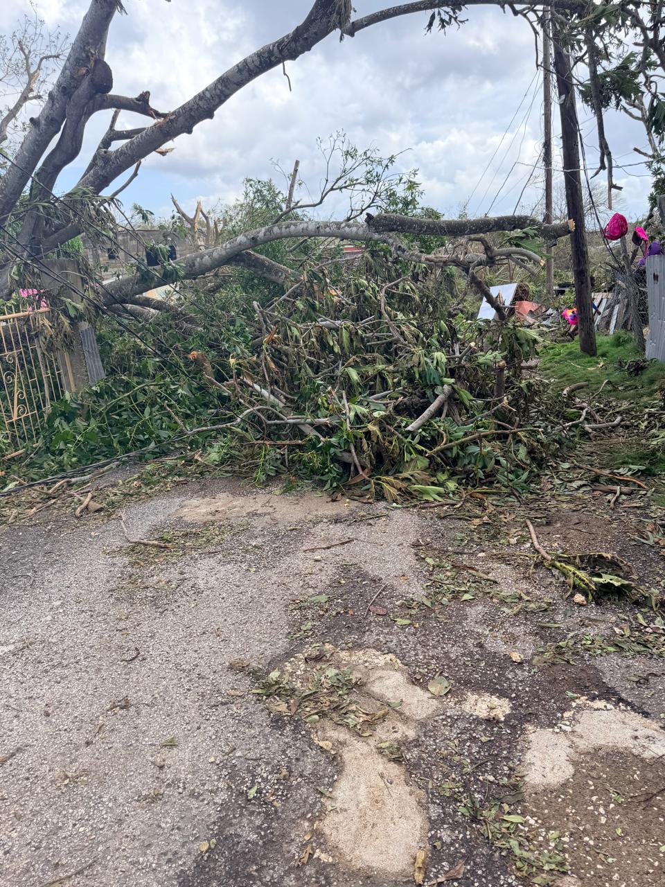 WhatsApp Image 2025-10-31 at 8.24.56 PM (2)